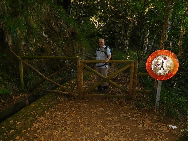 Levada do Juncal — photo 20