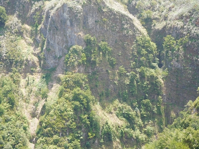 Levada do Juncal — photo 21