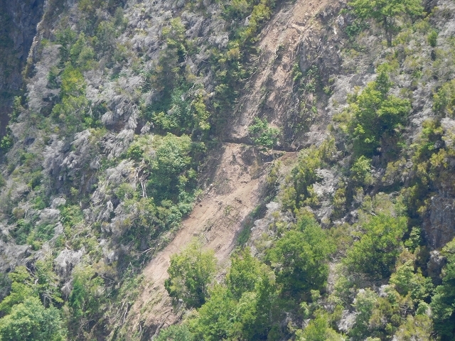 Levada do Juncal — photo 23