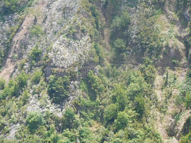 Levada do Juncal — photo 24