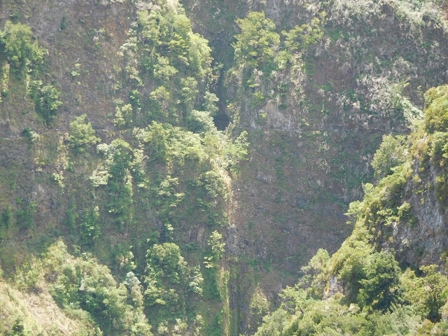 Levada do Juncal — photo 25