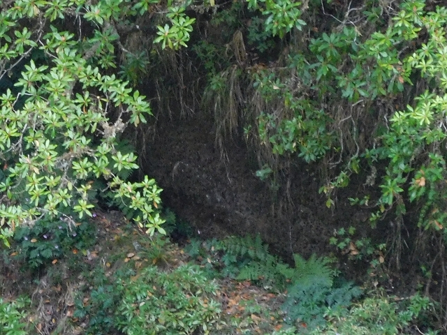 Levada dos Accionistas — photo 5