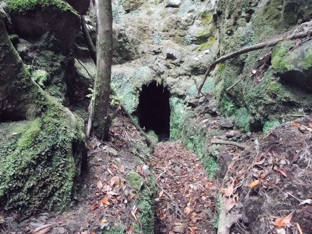 Levada do Furado — Abschnitt 3 — Foto 2