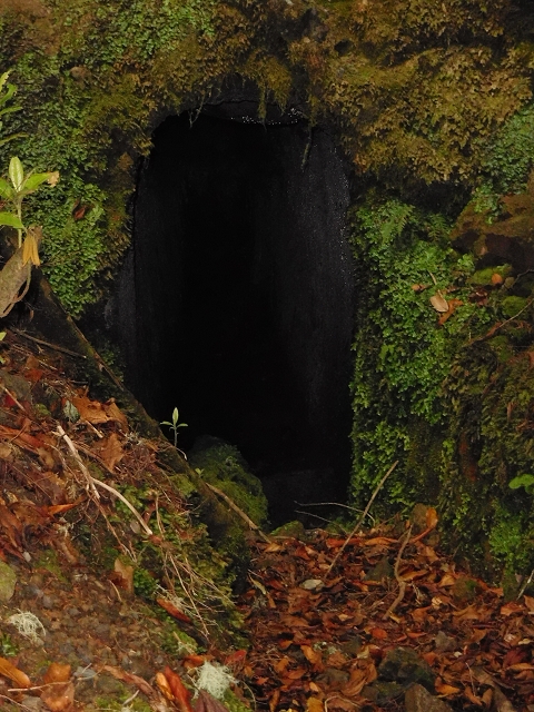 Levada do Furado — Abschnitt 3 — Foto 3