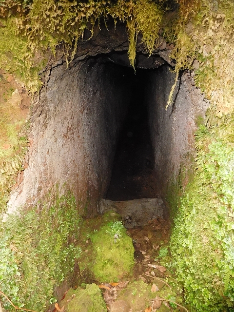Levada do Furado — Abschnitt 3 — Foto 4