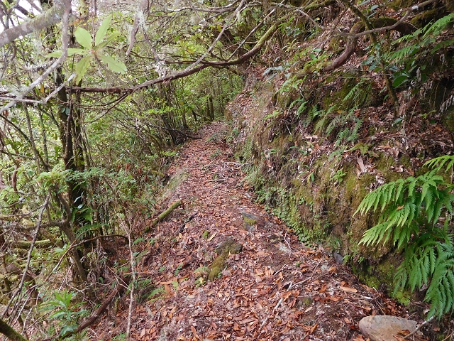 Levada do Furado — Abschnitt 3 — Foto 7