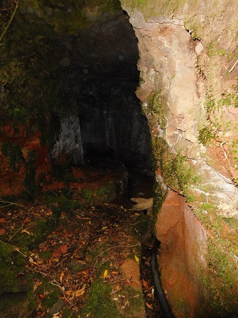 Levada do Furado — Abschnitt 3 — Foto 8