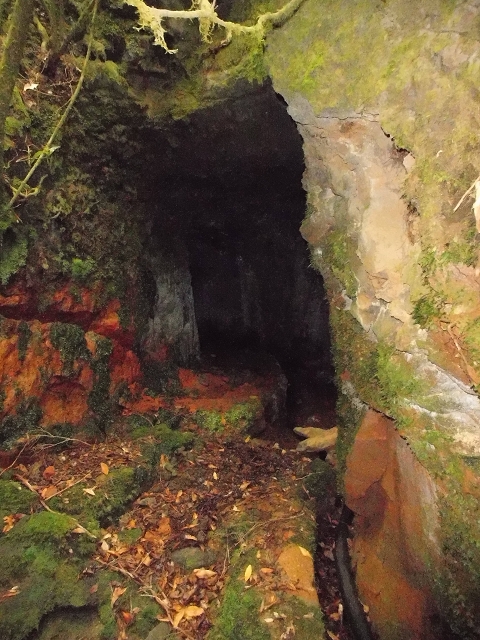 Levada do Furado — Abschnitt 3 — Foto 14