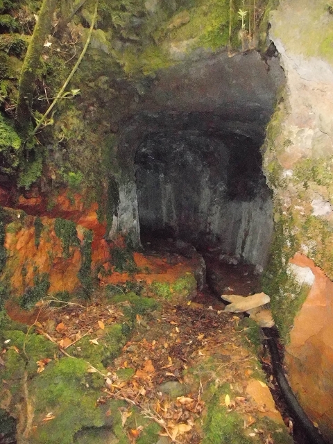 Levada do Furado — Abschnitt 3 — Foto 16