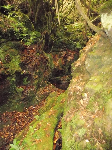 Levada do Furado — Abschnitt 3 — Foto 17