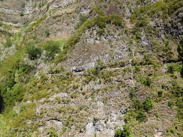 Levada dos Accionistas — photo 9