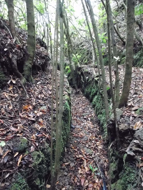 Levada do Furado — Abschnitt 3 — Foto 19