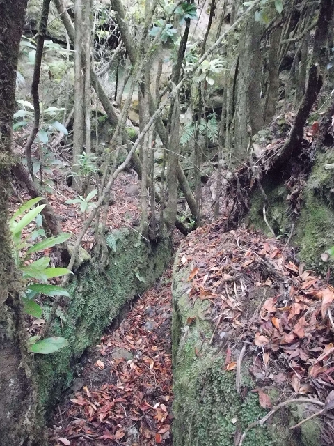 Levada do Furado — Abschnitt 3 — Foto 20