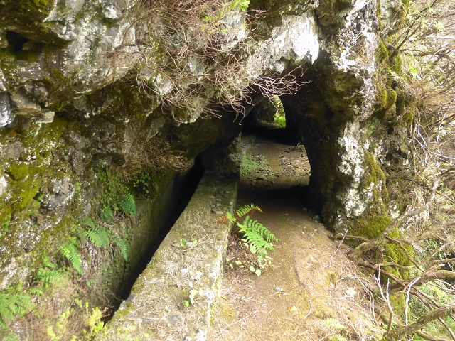 Levada do Risco — Course on the north side, 2013 — photo 10
