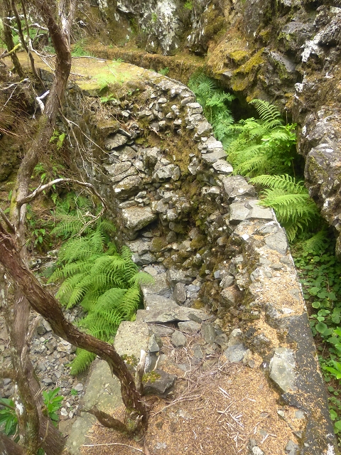 Levada do Risco — Course on the north side, 2013 — photo 13
