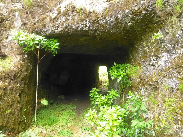 Levada do Risco — Course on the north side, 2013 — photo 15