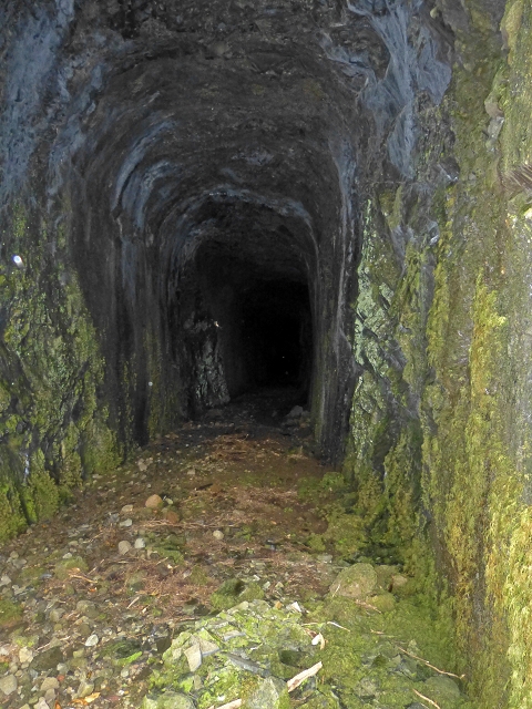 Levada do Risco — Course on the north side, 2013 — photo 16