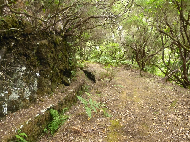 Levada do Risco — Course on the north side, 2013 — photo 1