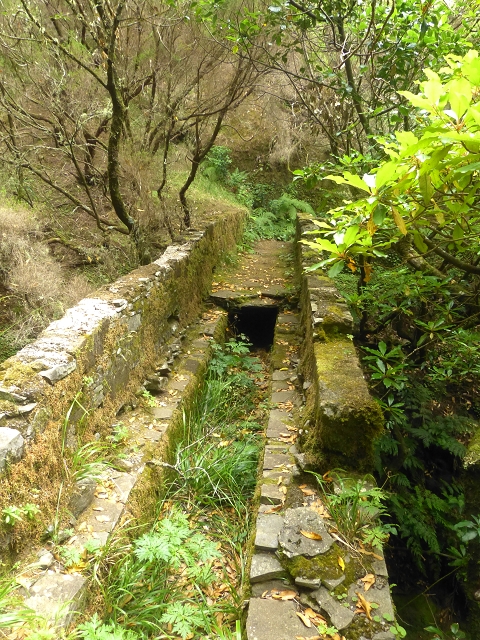 Levada do Risco — Course on the north side, 2013 — photo 2
