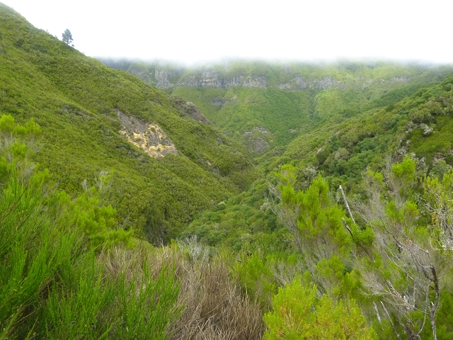 Levada do Risco — Course on the north side, 2013 — photo 5