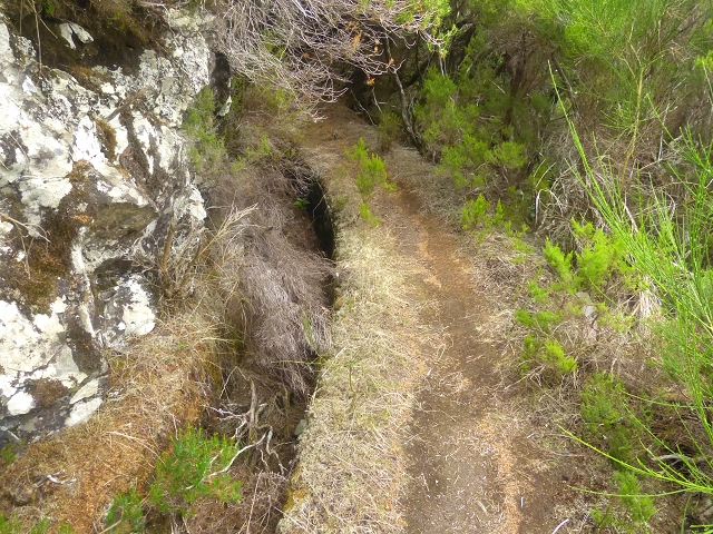 Levada do Risco — Course on the north side, 2013 — photo 6