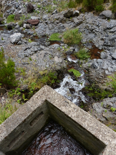 Levada Nova do Juncal — In the valley of the Ribeira do Juncal — photo 5