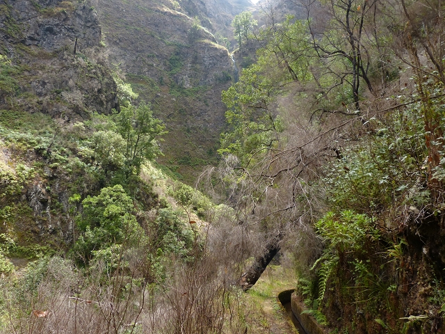 Levada Nova do Juncal — In the valley of the Ribeira das Lajes — photo 3