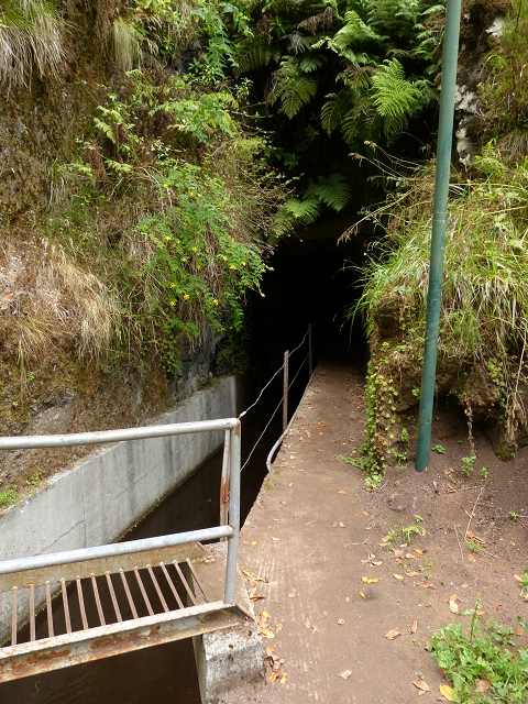 Levada Nova do Juncal — Pico da Nogueira tunnel — photo 1