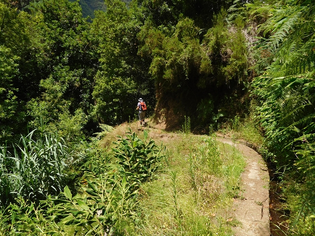 Levada do Lanço — photo 18