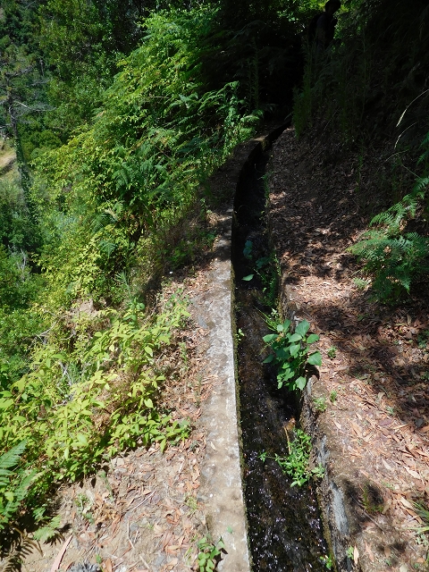 Levada do Lanço — photo 19