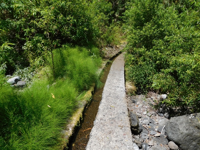 Levada do Lanço — photo 22