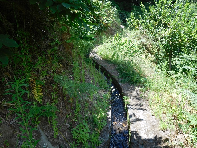 Levada do Lanço — photo 24