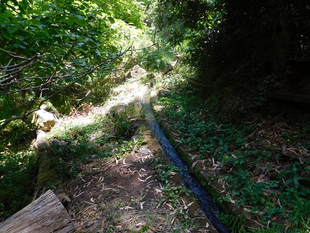 Levada do Lanço — photo 6
