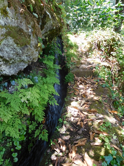 Levada do Lanço — photo 8