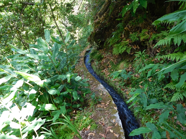 Levada do Lanço — photo 9