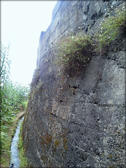 Levada do Lombo — Foto 5