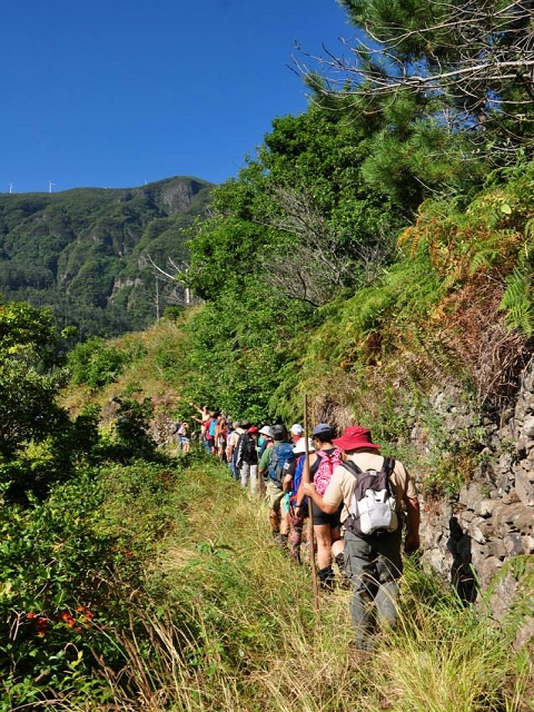 Levada do Vimieiro — Foto 1
