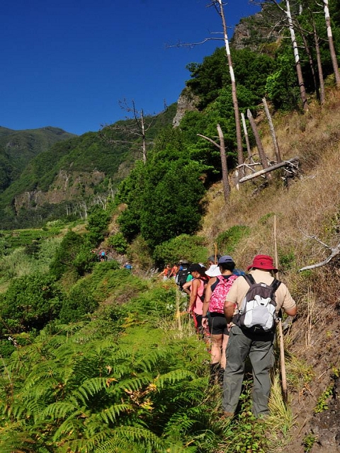 Levada do Vimieiro — Foto 10