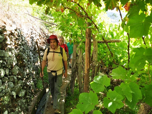 Levada do Vimieiro — Foto 11