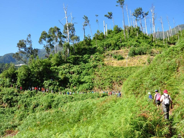 Levada do Vimieiro — Foto 12
