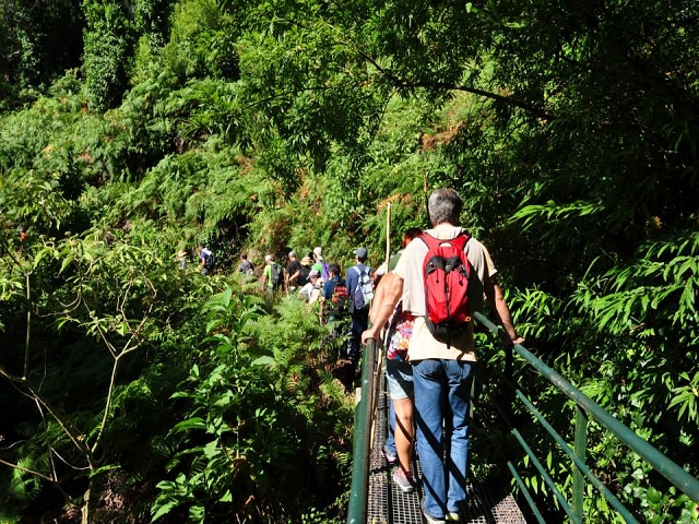 Levada do Vimieiro — Foto 2