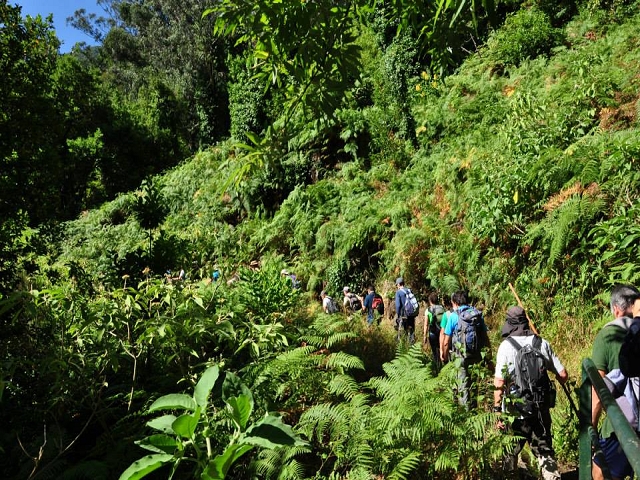 Levada do Vimieiro — Foto 3