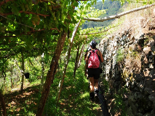 Levada do Vimieiro — Foto 4