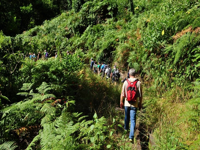 Levada do Vimieiro — Foto 8