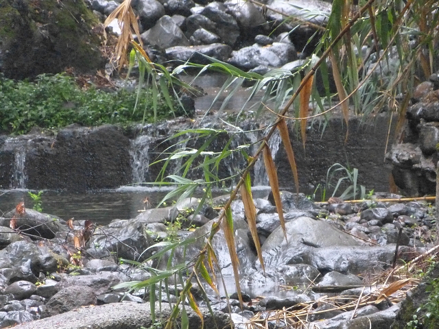 Levada do Lombo de Baixo — photo 1