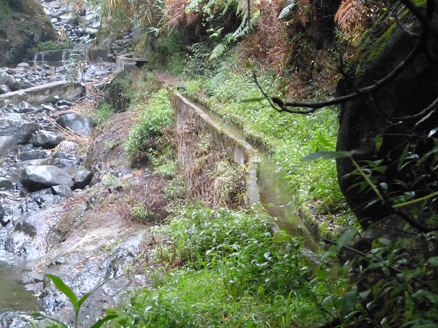 Levada do Lombo de Baixo — photo 2