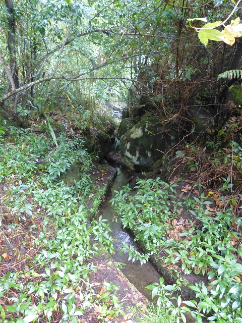 Levada do Lombo de Baixo — photo 3