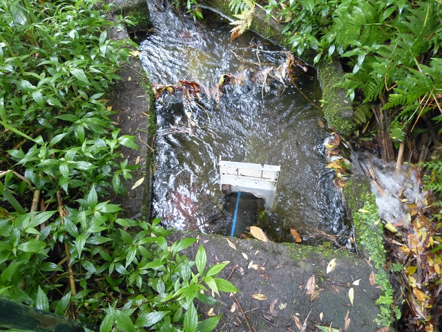 Levada do Lombo de Baixo — photo 4