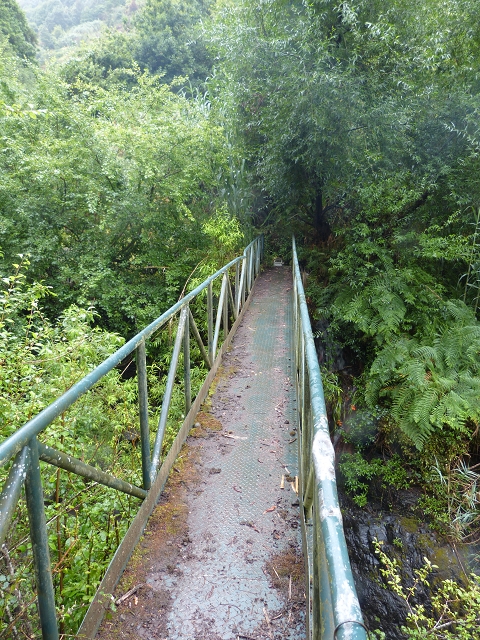 Levada do Lombo de Baixo — photo 5