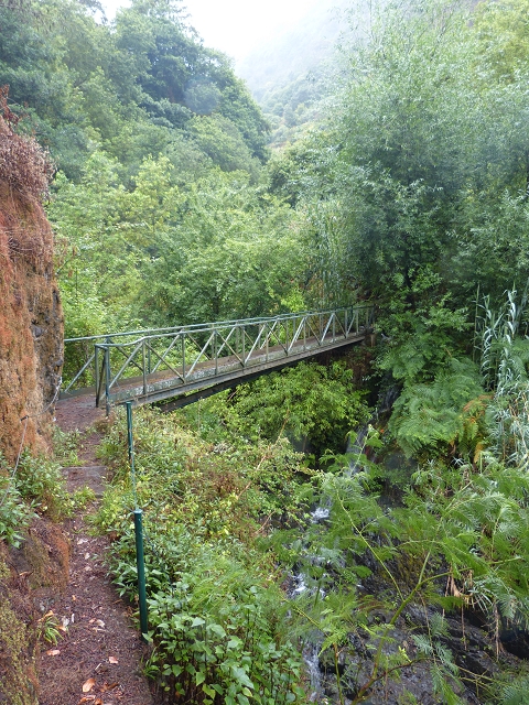 Levada do Lombo de Baixo — photo 6